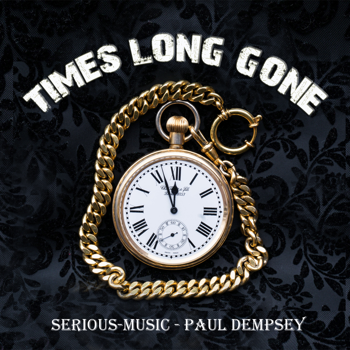 Times Long Gone feat. Paul Dempsey
