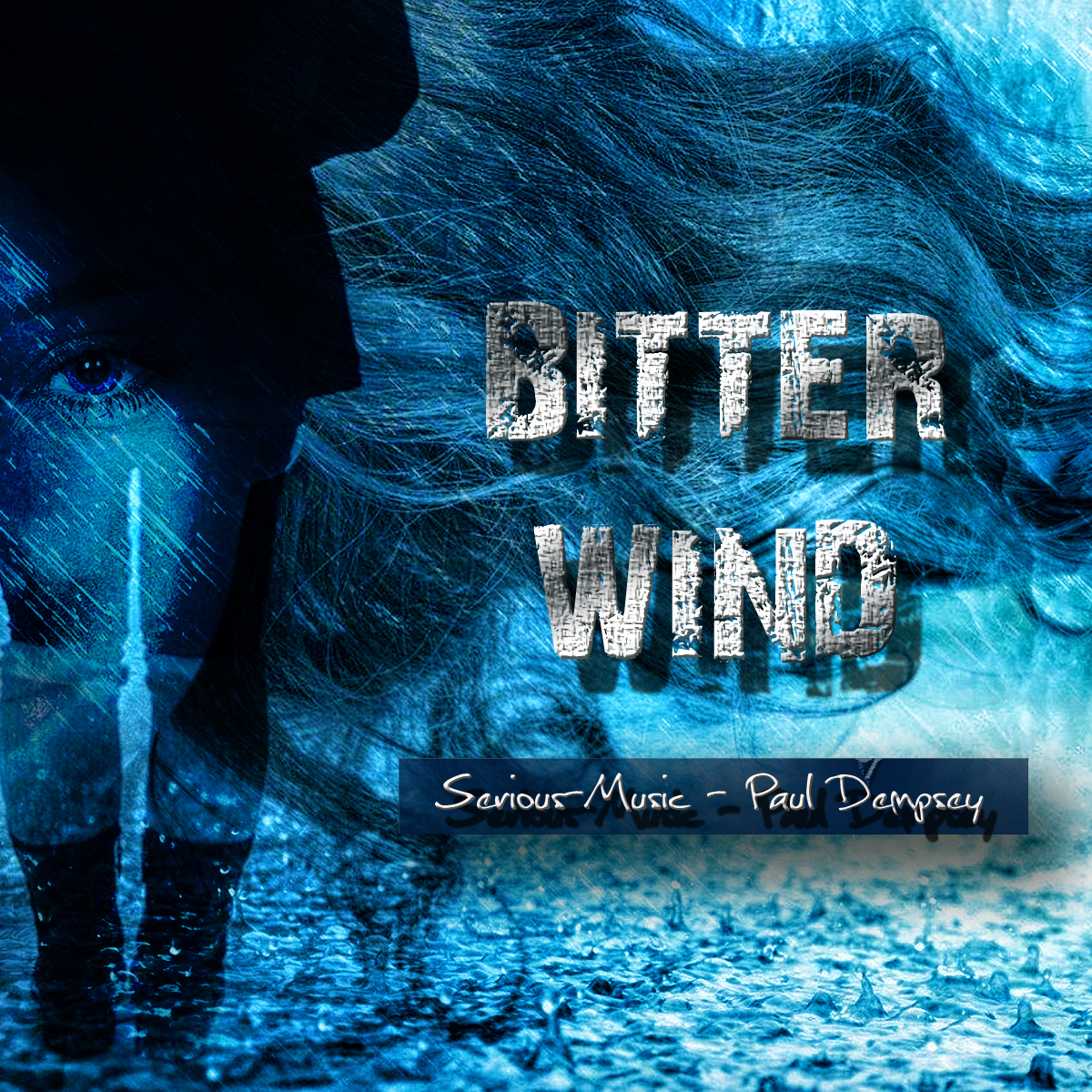 Bitter Wind feat. Paul Dempsey - Album Hard Surface