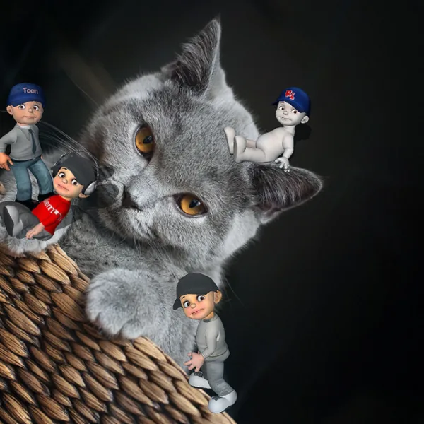 Photoshooting With My Cats