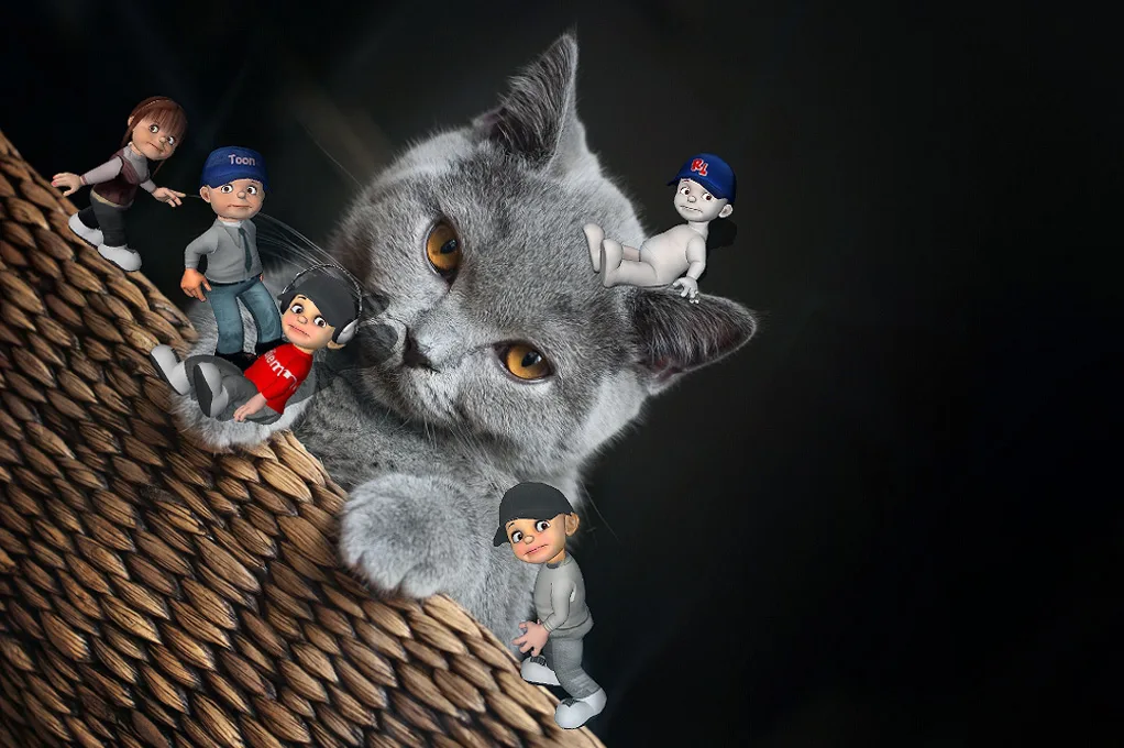 Photoshooting With My Cats